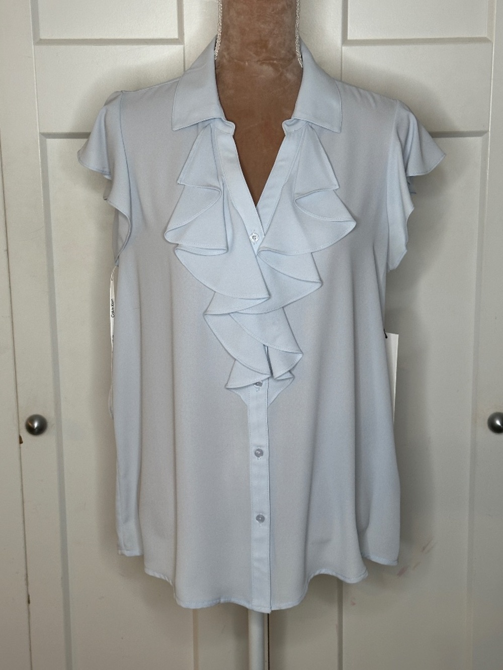 Calvin Klein Georgette Point Collar Cap Sleeve Ruffle Front Top, Sz L, NWT